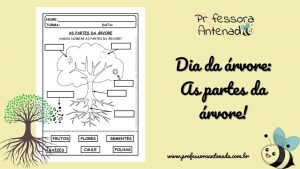 Dia da árvore: As partes da árvore!