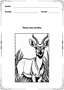 Descobrindo Animais